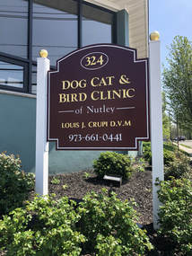 cat and bird hospital
